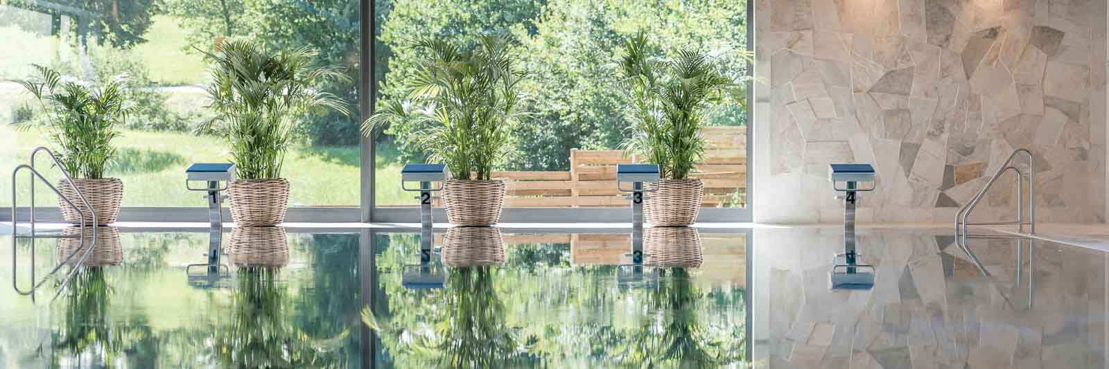 Academy-Pool Dsv, Fina, Roigk, Startsockel